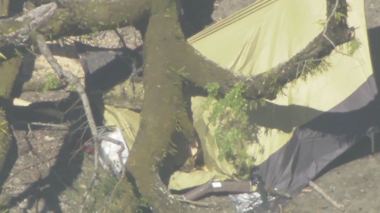 倒木で女性が下敷き…キャンプ場従業員「周辺の木は毎朝確認していた」